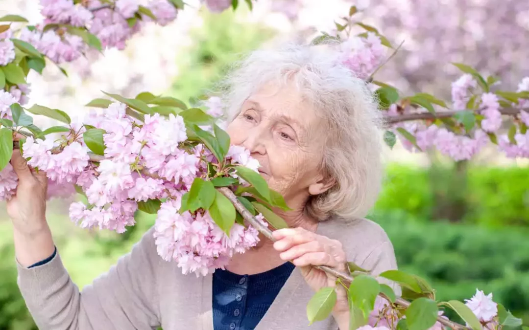 5 Revitalizing Spring Activity Ideas for Seniors in Retirement
